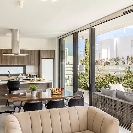 Diamond 普罗塔拉斯